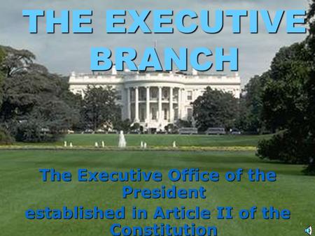 THE EXECUTIVE BRANCH The Executive Office of the President established in Article II of the Constitution.