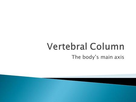 The body’s main axis.  Supports the head  Protects the spinal cord  Site of attachment for limbs and muscles  Consists of a column of 33 irregular.