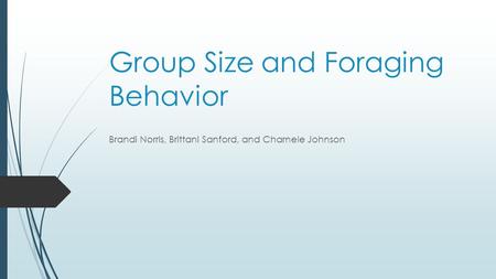 Group Size and Foraging Behavior Brandi Norris, Brittani Sanford, and Charnele Johnson.