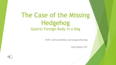 The Case of the Missing Hedgehog Gastric Foreign Body in a Dog VETE: 4325 Anesthesia and Surgical Nursing Sarra Borne, LVT.