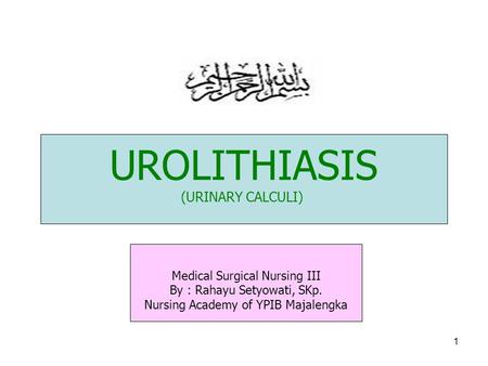 urolithiasis/NSU3062/rsetyowati