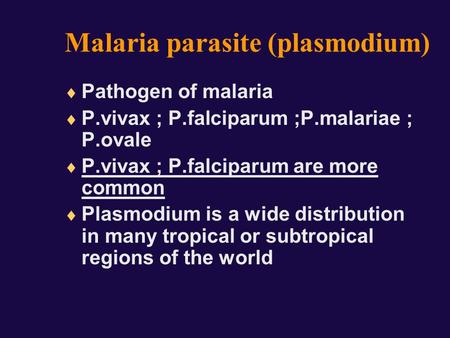 Malaria parasite (plasmodium)