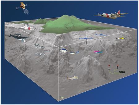 Persistence Surveillance Objectives Protect U.S. resources, including fisheries, habitats and protected species Monitor the state of ocean resources Combine.