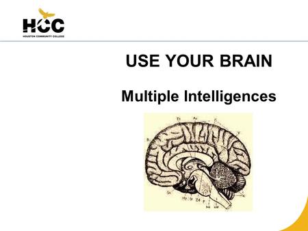 Definition A cognitive model of learning theory seeking to describe how individuals use their intelligences to solve problems and fashion approaches. Intelligence.