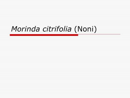 Morinda citrifolia (Noni). Major Component  Vitamin C, carotene, vitamin A  Potassium  Sterol  flavanoid.