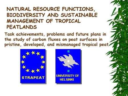 NATURAL RESOURCE FUNCTIONS, BIODIVERSITY AND SUSTAINABLE MANAGEMENT OF TROPICAL PEATLANDS Task achievements, problems and future plans in the study of.