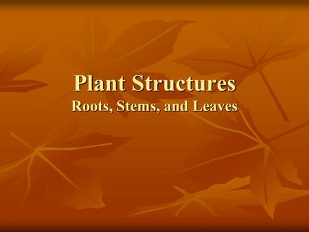 Plant Structures Roots, Stems, and Leaves. What are plants? Photosynthetic,eukaryotic, multi-cellular organisms. Photosynthetic,eukaryotic, multi-cellular.