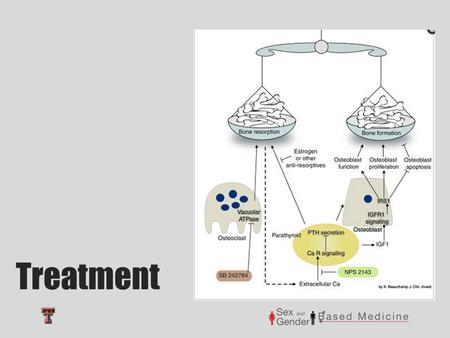 Treatment. Bisphosphonates Promotes bone formation and decreases bone resorption Mechanism of Action First line treatment for osteoporosis in both men.