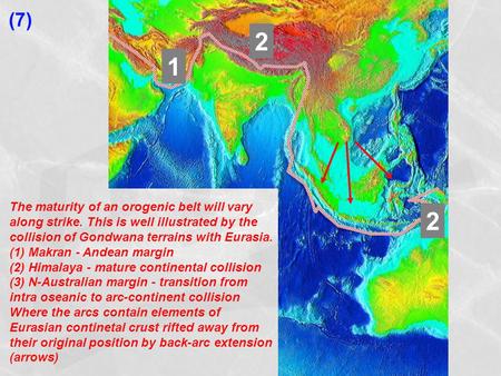 The maturity of an orogenic belt will vary along strike. This is well illustrated by the collision of Gondwana terrains with Eurasia. (1) Makran - Andean.