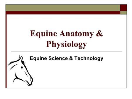 Equine Anatomy & Physiology