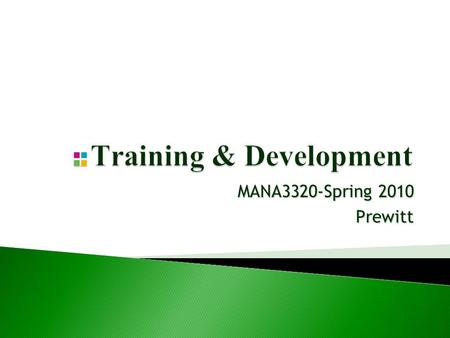 Training & Development