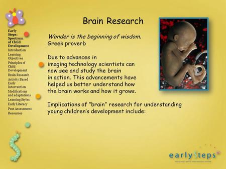 Early Steps: Spectrum of Child Development Introduction Learning Objectives Principles of Child Development Brain Research Activity Based Early Intervention.