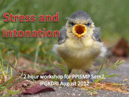 2 hour workshop for PPISMP Sem2, IPGKDRI August 2012