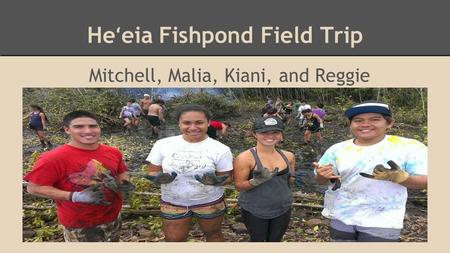 He ʻ eia Fishpond Field Trip Mitchell, Malia, Kiani, and Reggie.