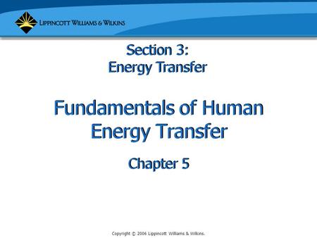 Fundamentals of Human Energy Transfer