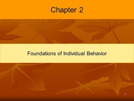 Foundations of Individual Behavior