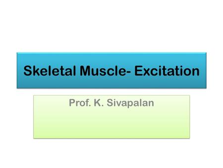 Skeletal Muscle- Excitation Prof. K. Sivapalan. Muscle Types June 2013Skeletal Muscle Excitation2.