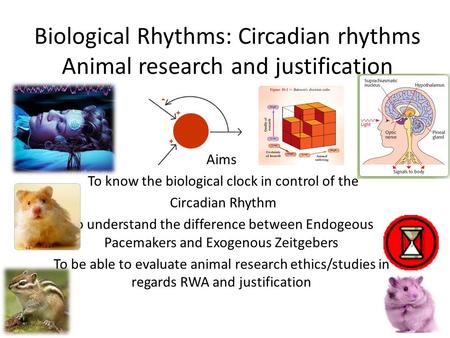 To know the biological clock in control of the