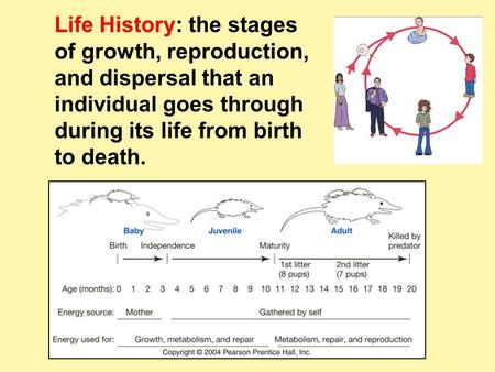 Life History: the stages of growth, reproduction, and dispersal that an individual goes through during its life from birth to death.