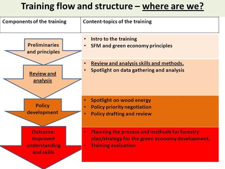 Preliminaries and principles Review and analysis Policy development Outcome: Improved understanding and skills Intro to the training SFM and green economy.