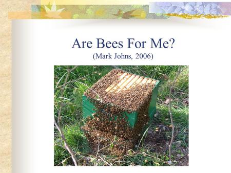 Are Bees For Me? (Mark Johns, 2006). Why Do I Want to Keep Bees? Hobby Pollination Hive Products (honey, wax, pollen, propolis)