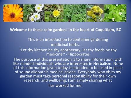 Welcome to these calm gardens in the heart of Coquitlam, BC This is an introduction to container gardening medicinal herbs. “Let thy kitchen be thy apothecary;