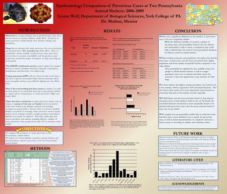 Epidemiology Comparison of Parvovirus Cases at Two Pennsylvania Animal Shelters: 2006-2009 Leann Wolf, Department of Biological Sciences, York College.