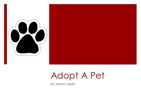 Adopt A Pet By: Sammi Aiello. Meet Bandit… Each year…  4 million dogs and cats are euthanized*  8-10 million animals are given to shelters*  *(Adopting.