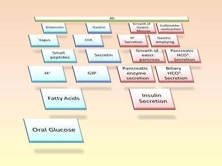 H + Secretion Parietal Cells GIP Growth of gastric mucosa Small peptides Disten- sion Vagus H+H+ Gastrin G Cells CCK I Cells Secretin S cells Stomach.