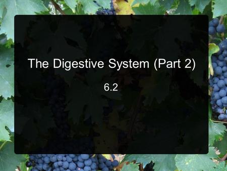 The Digestive System (Part 2) 6.2. Small Intestine Longest part of digestive tract Some physical digestion through segmentation  Chyme sloshes back and.