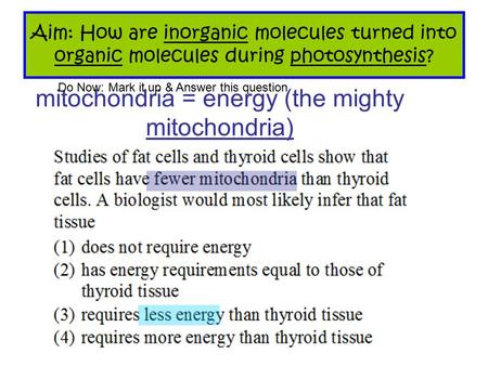 mitochondria = energy (the mighty mitochondria)