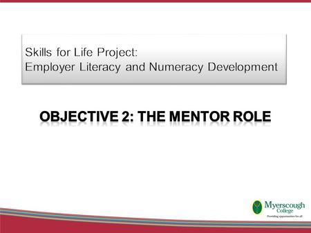 The Action Plan Overview 1 Employer Engagement Organisation Needs Analysis Skills Scan of Job roles and initial assessment of individuals 2 Identify,