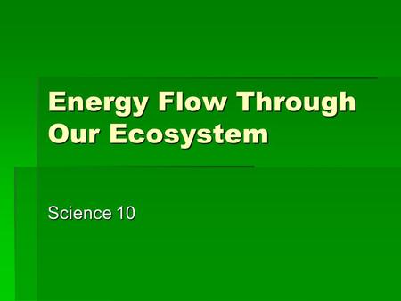 Energy Flow Through Our Ecosystem