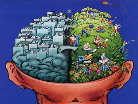  Left brain dominant individuals are more orderly, literal, articulate, and to the point. They are good at understanding directions and anything that.