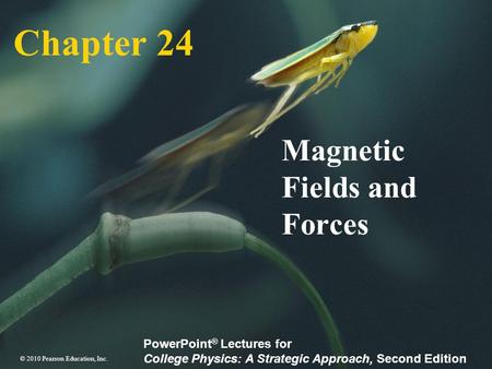 Magnetic Fields and Forces