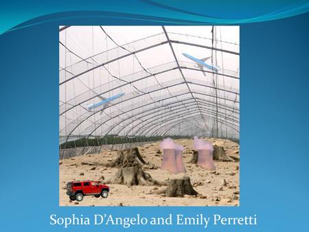 Sophia D’Angelo and Emily Perretti. Causes: CO2 The first image will be a dramatic and upsetting image depicting a primary cause of global warming This.