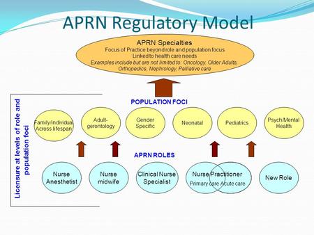 Licensure at levels of role and population foci