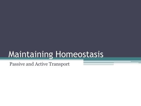 Maintaining Homeostasis