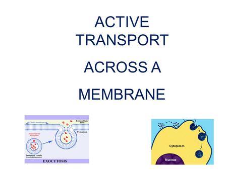 1 ACTIVE TRANSPORT ACROSS A MEMBRANE. Overview of Active Transport Active Transport 1. Carrier Protein 2. Endocytosis3. Exocytosis.