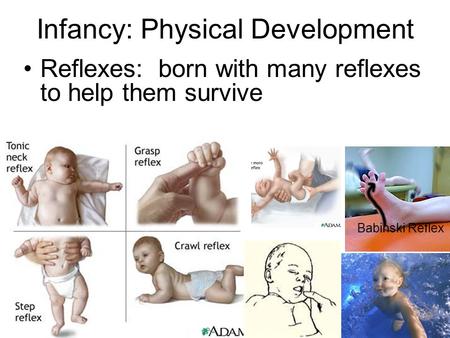 Infancy: Physical Development