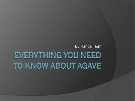 By Randall Tom. What is Agave?  Mostly found in Southwestern United states and Mexico  Average stock length 8 meters long  Leaves can grow up to 2.