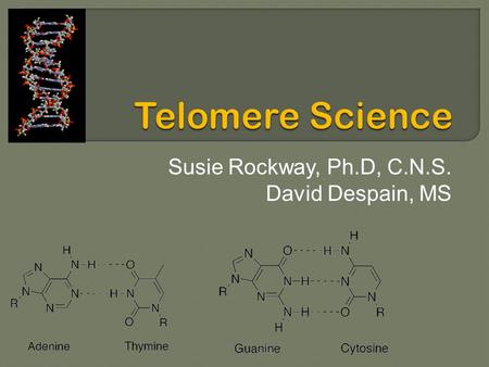 Susie Rockway, Ph.D, C.N.S. David Despain, MS.  Define Telomeres  What are the issues?  Provide overview of key epidemiological studies associating.