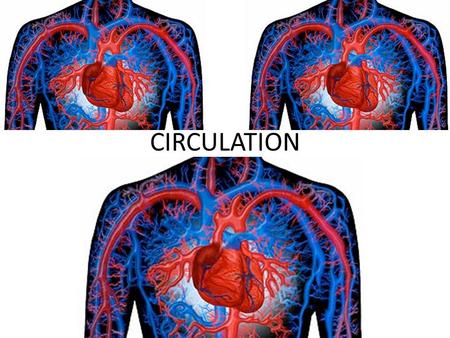 CIRCULATION.