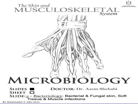 Bacterial & Fungal skin, Soft Tissue & Muscle infections For Second Year Medical Students Prof. Dr Asem Shehabi.