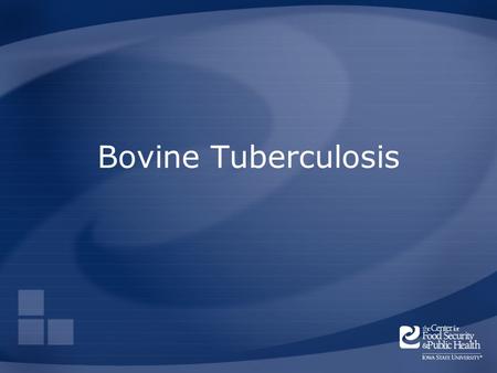 Bovine Tuberculosis. Overview Organism History Epidemiology Transmission Disease in Humans Disease in Animals Prevention and Control Actions to Take Center.