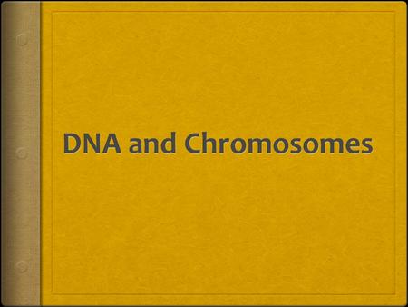 What is DNA?  DNA is where the GENETIC CODE is stored.  It is a set of instructions for building proteins  Sent by the CEO to the WORKERS as instructions.