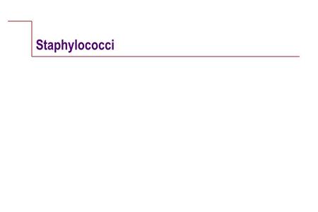 Staphylococci. W.B. Saunders Company items and derived items copyright © 2001 by W.B. Saunders Company. Case Study uA 19-year-old woman complained of.