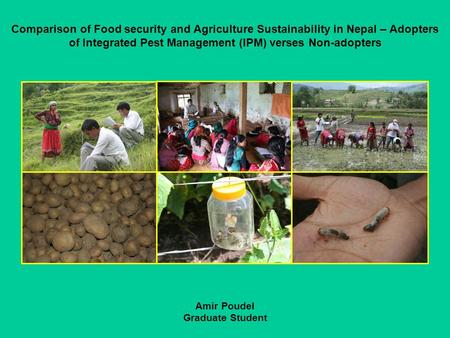 Comparison of Food security and Agriculture Sustainability in Nepal – Adopters of Integrated Pest Management (IPM) verses Non-adopters Amir Poudel Graduate.