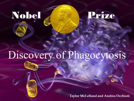 Nobel Prize Discovery of Phagocytosis Taylor McLelland and Andrea Occhiuti.