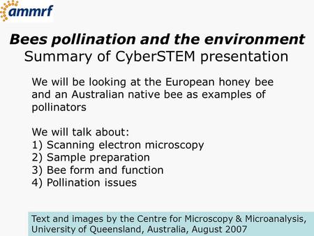 Bees pollination and the environment Summary of CyberSTEM presentation We will be looking at the European honey bee and an Australian native bee as examples.